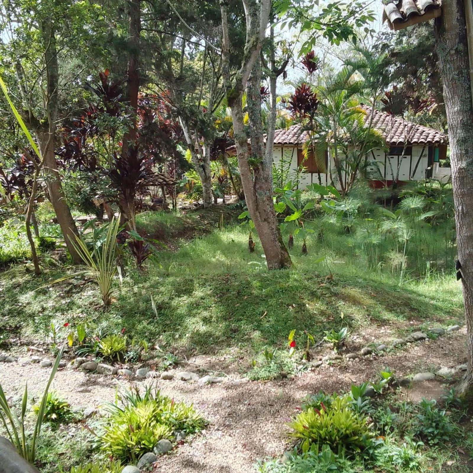 Hotel La Casa De Francois San Agustín 외부 사진