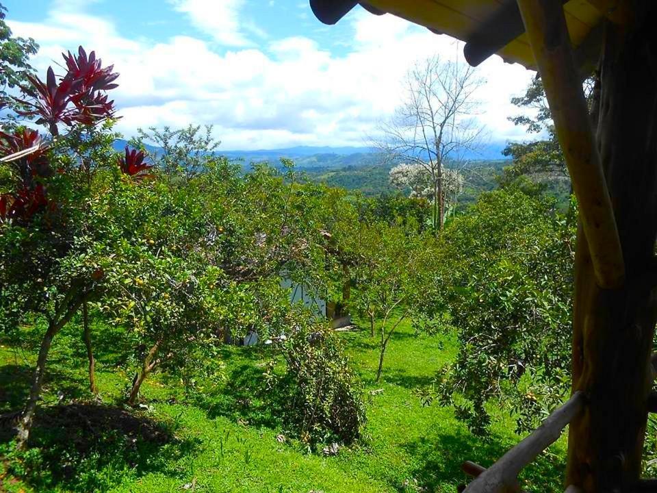 Hotel La Casa De Francois San Agustín 외부 사진
